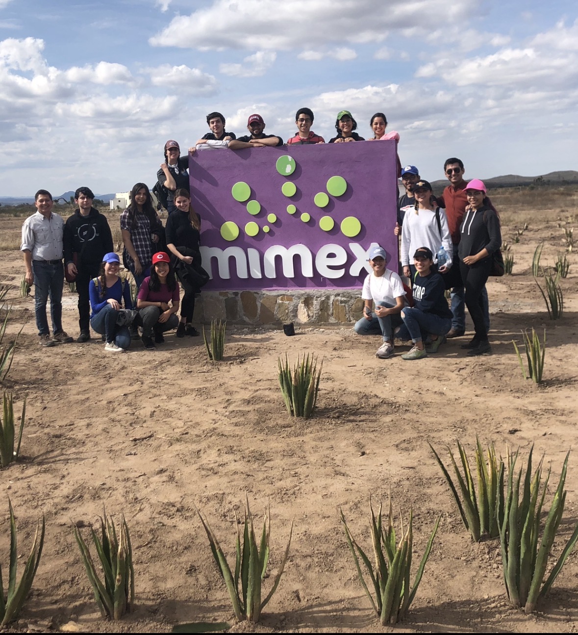 Equipo Mimex en plantación de agave